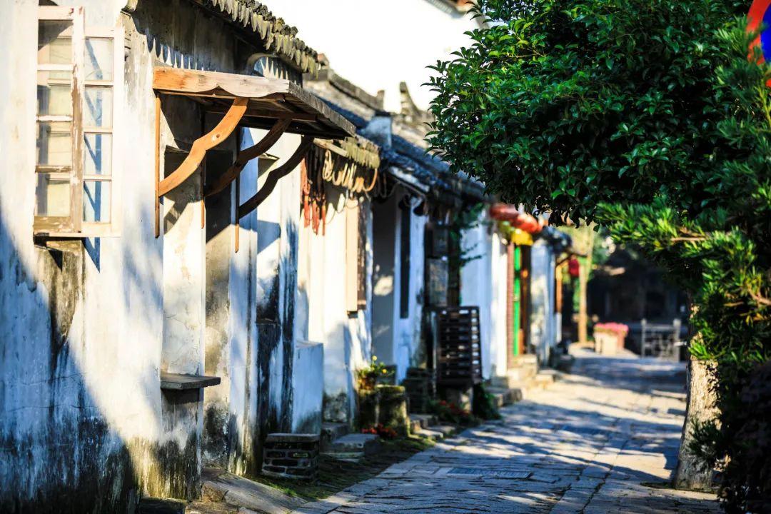 知识星球平台